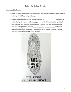 Notes - Microbiology – Protista