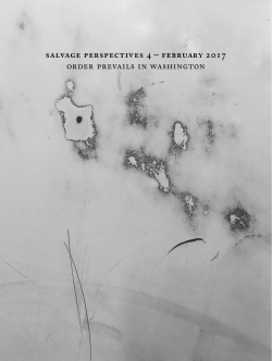 To read the full Perspectives document in pdf format, click