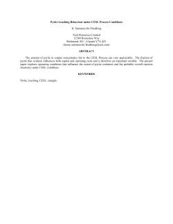 Pyrite Leaching Behaviour under CESL Process Conditions