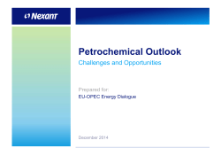 Petrochemical Outlook Challenges and Opportunities