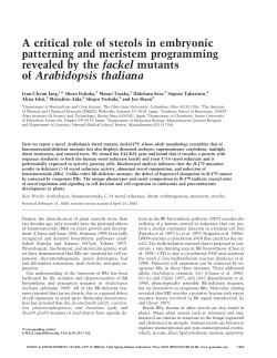 A critical role of sterols in embryonic patterning and meristem