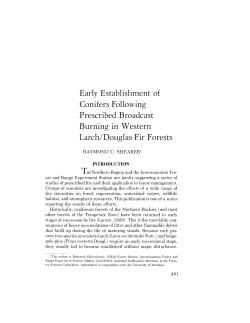Early Establishment of Conifers Following Prescribed Broadcast