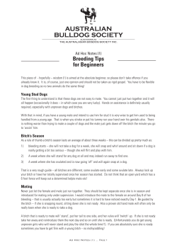 Breeding Tips for Beginners