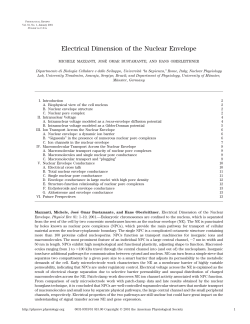 Electrical Dimension of the Nuclear Envelope
