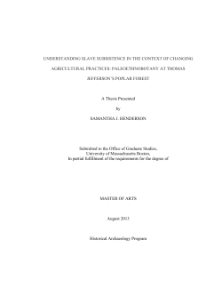understanding slave subsistence in the context of