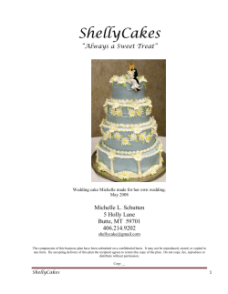 ShellyCakes Business Plan - School of Business Administration
