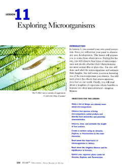 Exploring Microorganisms
