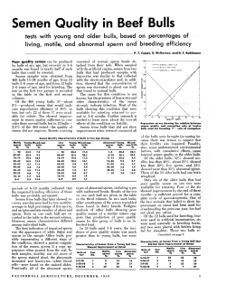 Semen Quality in Beef Bulls