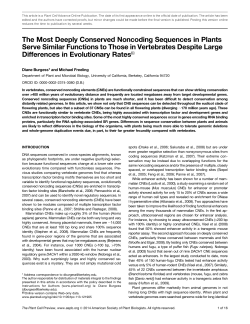 The Most Deeply Conserved Noncoding Sequences