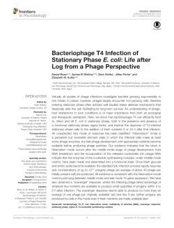 Bacteriophage T4 Infection of Stationary Phase E. coli: Life after Log