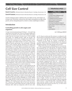 Cell Size Control