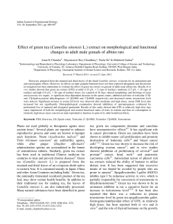 Effect of green tea (Camellia sinensis L.) extract on morphological