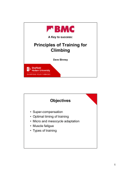 Principles of Training for Climbing