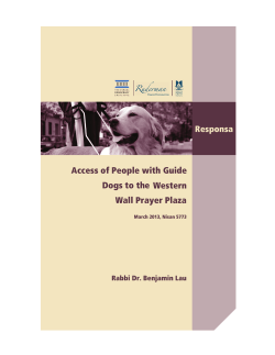 Access of People with Guide Dogs to the Western Wall Prayer Plaza