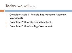 Anatomy and Reproduction