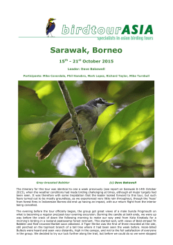 Sarawak, Borneo