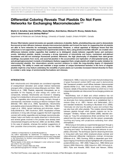 Differential Coloring Reveals That Plastids Do Not