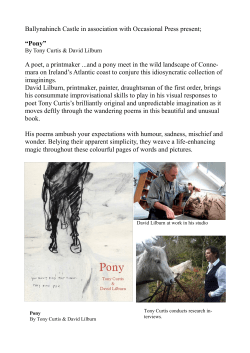 Pony - Ballynahinch Castle Hotel