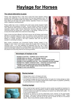 Haylage for Horses - British Grassland Society