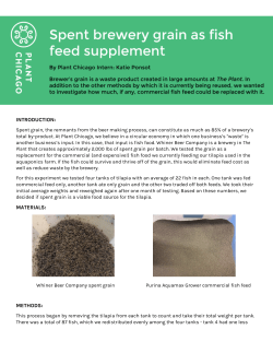 Fish feed experiment