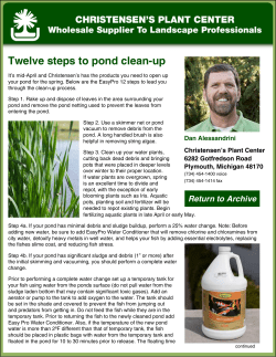 Twelve steps to pond clean-up