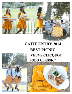 CATIE ENTRY - BEST PICNIC VEUVE CLICQUOT POLO CLASSIC