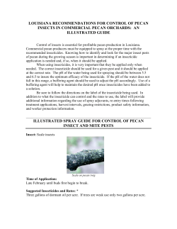 louisianarecommendationsforcontrolofpecaninsects