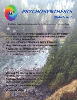 Molly Young Brown on Psychosynthesis as a Systems Psychology