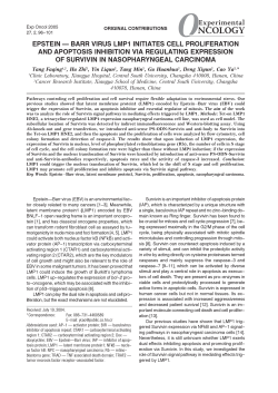 epstein &mdash; barr virus lmp1 initiates cell proliferation and apoptosis