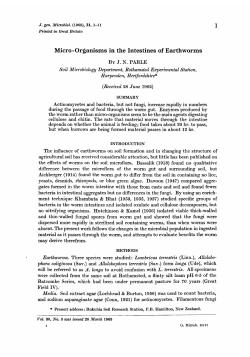 Micro-Organisms in the Intestines of Earthworms