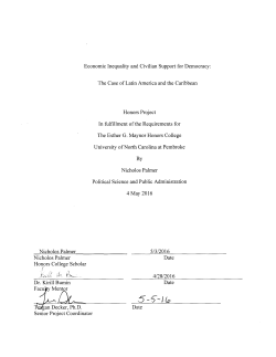 Economic Inequality and Civilian Support for Democracy