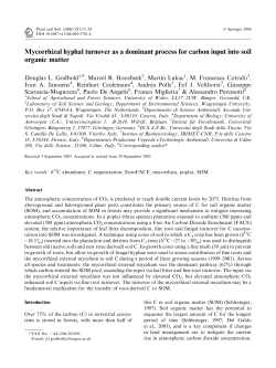 Mycorrhizal hyphal turnover as a dominant process for carbon input