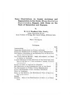 Some Observations on Caudal Autotomy