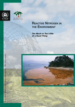 reactive nitrogen in the environment
