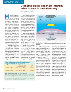 Oxidative Stress and Male Infertility: What is New