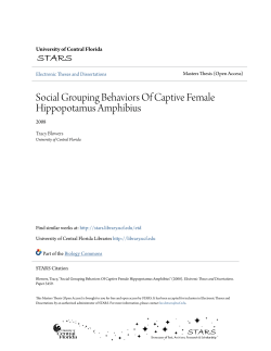 Social Grouping Behaviors Of Captive Female Hippopotamus