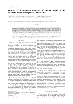 Anatomy of myxospermic diaspores of selected species in