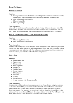 Team Challenges - 1st Ermington Scout Group