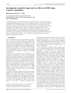 Investigation of particle shape and size effects in SERS using T