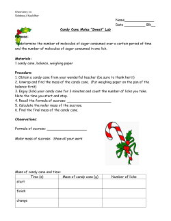 Candy Cane Moles lab
