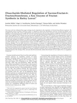 Disaccharide-Mediated Regulation of Sucrose