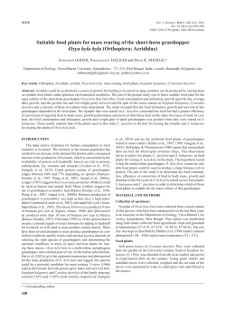 Suitable food plants for mass rearing of the short