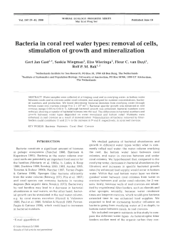 Bacteria in coral reef water types
