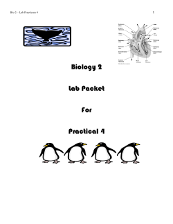 Biology 2 Lab Packet For Practical 4