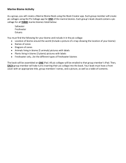 Marine Biome Activity