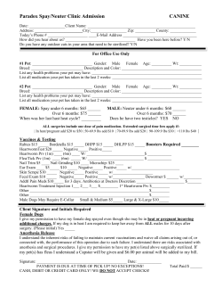 Dog Admission - Paradox Spay Neuter Clinic