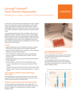 Corning&reg; Gentest&trade; Fresh Human Hepatocytes