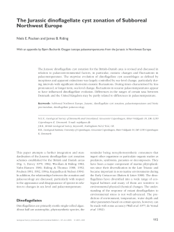Geological Survey of Denmark and Greenland Bulletin 1, 115-144