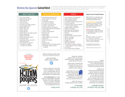 sustainable seafood guide