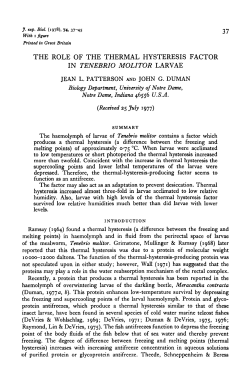 the role of the thermal hysteresis factor in tenebrio molitor larvae